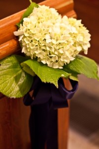blog 3